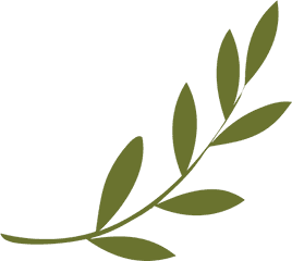 Olive Branch Peace Symbols Wreath - Symbol Png Olive Branch Peace Symbol