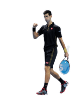 Novak Djokovic Picture - Free PNG