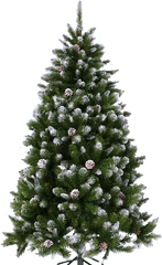 Christmas Tree Png - New Year Tree Png