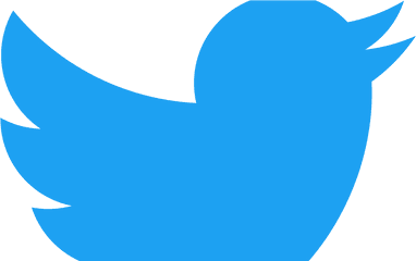 Transparent Background Twitter Logo - Individual All Social Media Logos Png