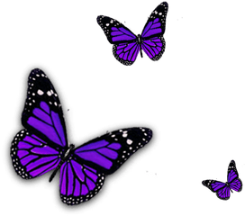 Purple Butterfly Png Clipart - Purple Butterfly Transparent