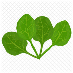 Spinach Leaves Icon - Illustration Png