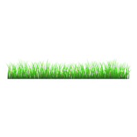 Spring Meadow Photos Free HD Image - Free PNG