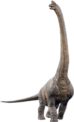 Jurassic World Evolution Wiki - Jurassic World Evolution Brachiosaurus Png