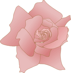 Pink Rose Flower Drawing - Girly Png