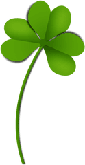 Shamrock Clover Png Picture - Portable Network Graphics