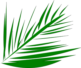 Download Big Image - Palm Leaves Transparent Clipart Full Palm Trees Clip Art Branches Png