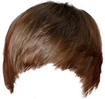 Hair Free Download - Free PNG