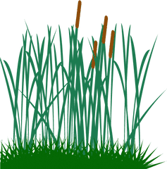 Transparent Background Prairie Grass - Tall Grass Clipart Png