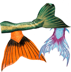 High Quality Silicone Mermaid Tails - Silicon Mermaid Tail Png