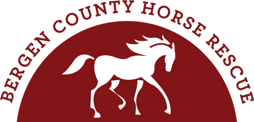 Bergen County Horse Rescue - Bergen County Horse Rescue Png