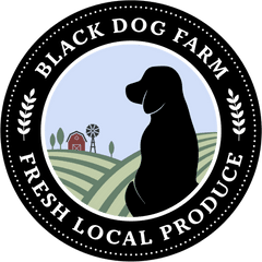 Black Dog Farm Branding U2014 Ann Samuelson Graphic Design Png