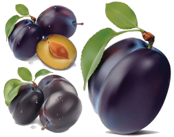 Plum Image - Free PNG