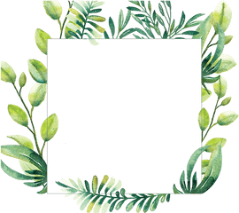 Home - Transparent Greenery Clipart Png