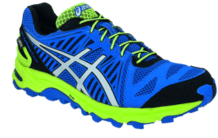 Asics Running Shoes Png Image