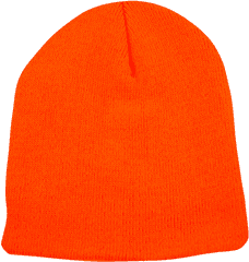 Bpe - Beanie Png