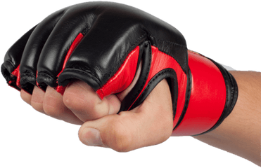 Mixed Martial Arts Png Mma - Mma Gloves On Hand