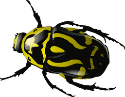 Yellow Bug Png Image