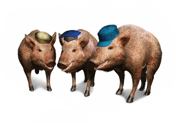 Three Little Pigs - Three Little Pigs The Witcher Png