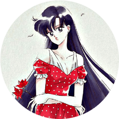 Icons Desu Close - Rei Hino Icon Png