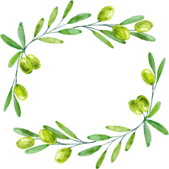 Decorative Leaf Border Png Branch