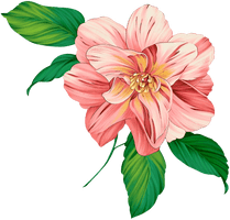 Flower Artwork Free Clipart HD - Free PNG