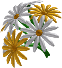 Daisy Bouquet - Chamomile Png