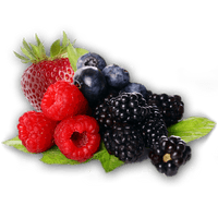 Berries Clipart - Free PNG