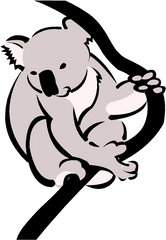 Download - Koalapngtransparentimagestransparent Koala Bear Clipart Black And White Png
