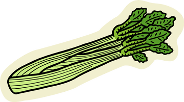 Celery Green Download HD - Free PNG