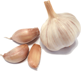 Garlic Png Transparent Images - Garlic Png Transparent