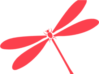 Dragonfly Clipart Drawing - Red Dragonfly Clipart Png