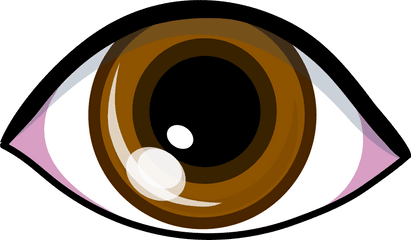 Googly Eyes Drawing Clip Art - Brown Eye Clipart Png