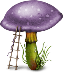 Mushroom - Transparent Background Fantasy Mushroom Png