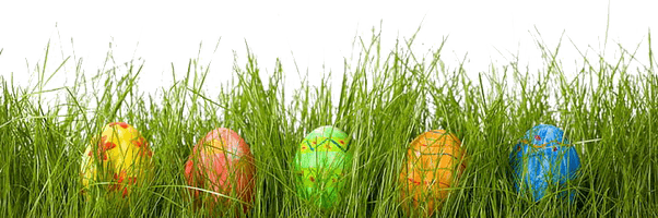 Egg Grass Easter PNG Free Photo