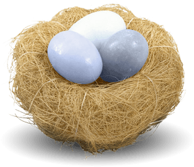 Download - Nest Png