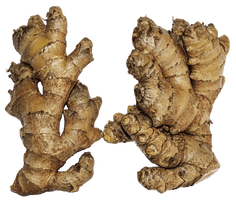 Fresh Galangal Download Free Image - Free PNG