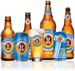 Balde De Antarctica Png Image - Imagens Cerveja Antarctica Png