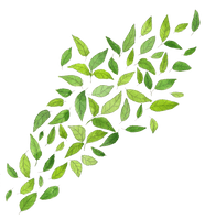 Green Leaf Images Free Clipart HD - Free PNG