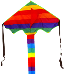 Midget Rainbow - Kite Png