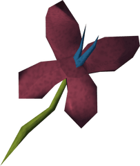 Red Vine Blossom Runescape Wiki Fandom - Illustration Png