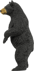 Bear Png Transparent Images Free Download - American Black Bear