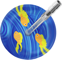 Goldfish Stethoscope - Illustration Png