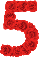 Red Roses Five Number Transparent Png - Five Red Roses