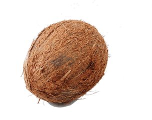 Coconut Milk Fruit Auglis Drawing - Coconut Png