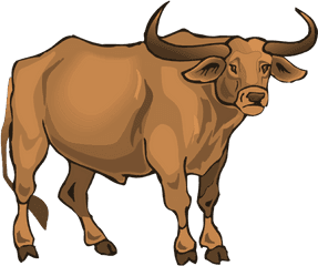 Longhorn Clipart Transparent - Longhorn Transparent Png