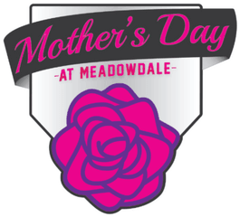 Bombs For Moms - Gsl Tournaments Garden Roses Png