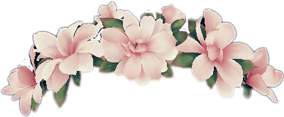 Flower Crown - Flower Crown Transparent Png