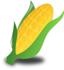 Corn Crop Harvest - Corn Clip Art Png