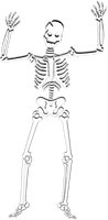 Halloween Skeleton Photos - Free PNG